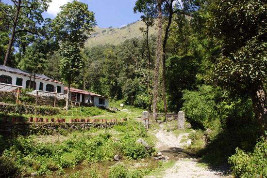 Benog Pines Cottages